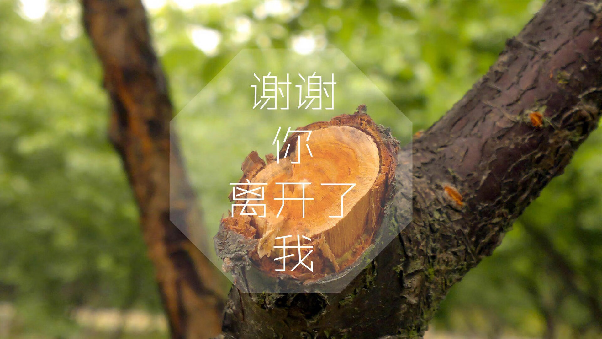 毕尔巴鄂竞技独具特色的战术布局，毕尔巴鄂竞技什么水平