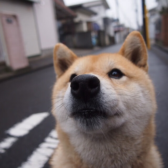 开云入口-“快艇冲浪：东三叉湖赛场极速对决，飞驰水面成焦点”