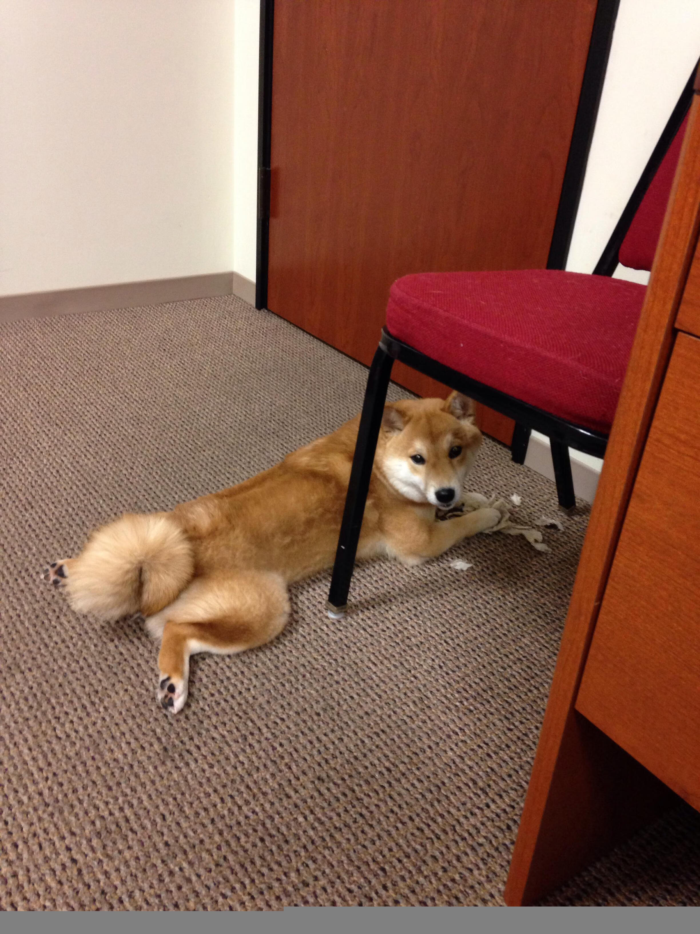 kaiyun开云·官方网站-中国男篮加强身体对抗 提高比赛强度，中国男篮体能不够