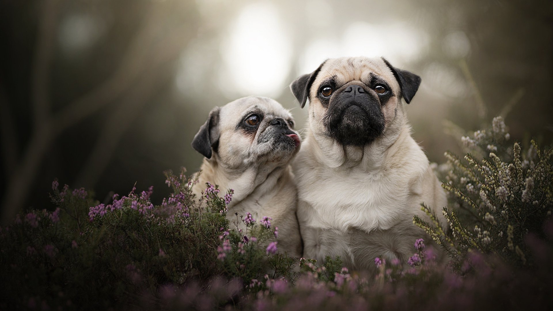 开云入口-中超联赛球迷支持热情不减，中超球队球迷素质排行