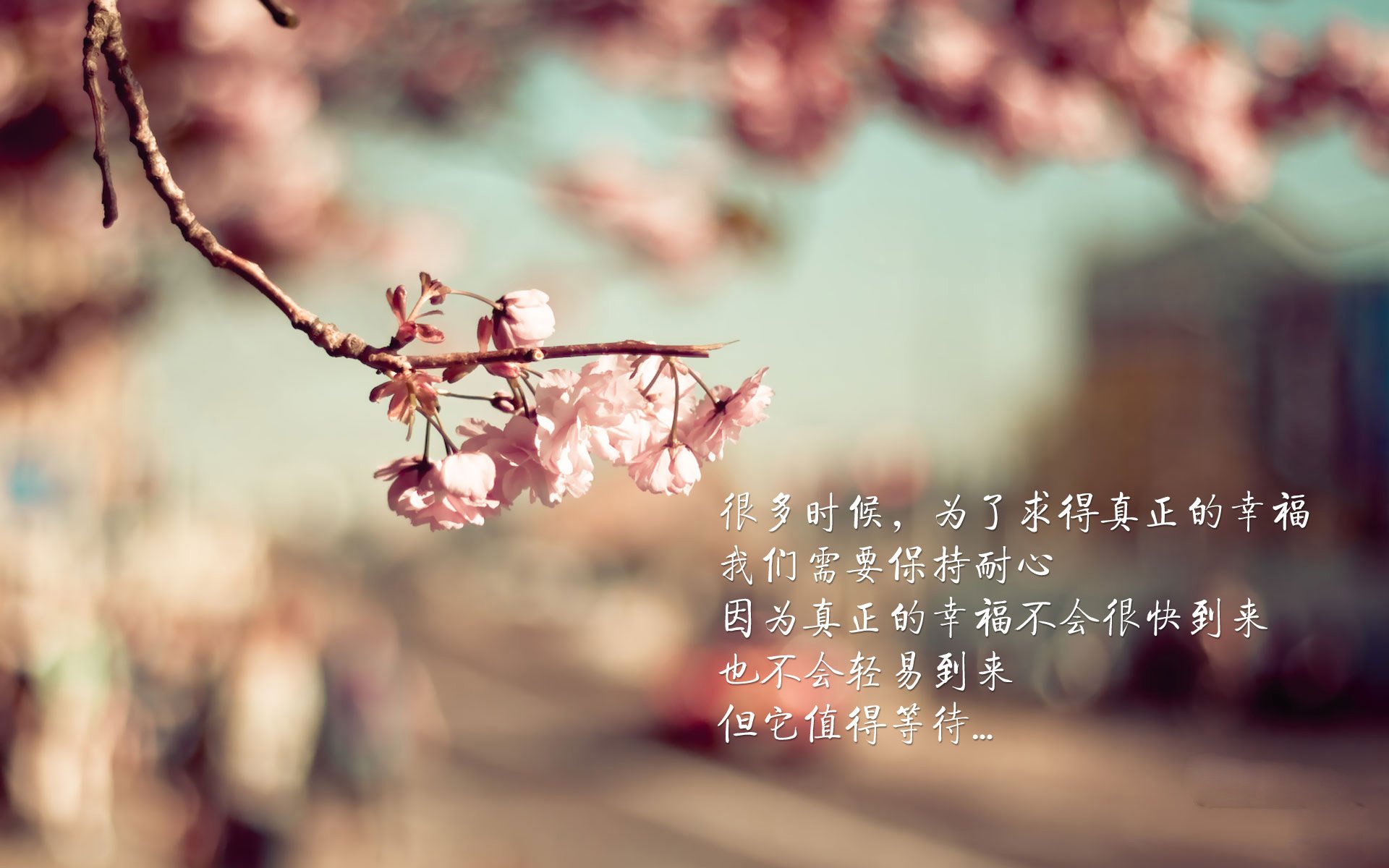 曼城持续构建三线均衡战术体系，曼城3_2曼联