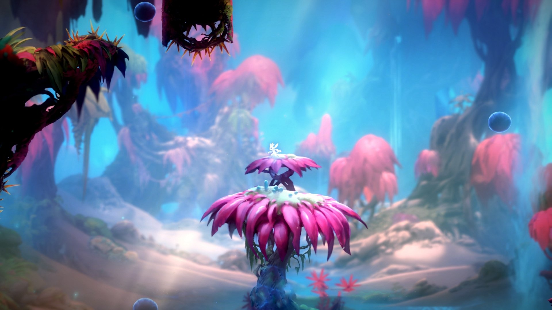 开云官方网页登录-职业球员场上执行力为何频繁失控，nba球员执行球员选项是什么意思