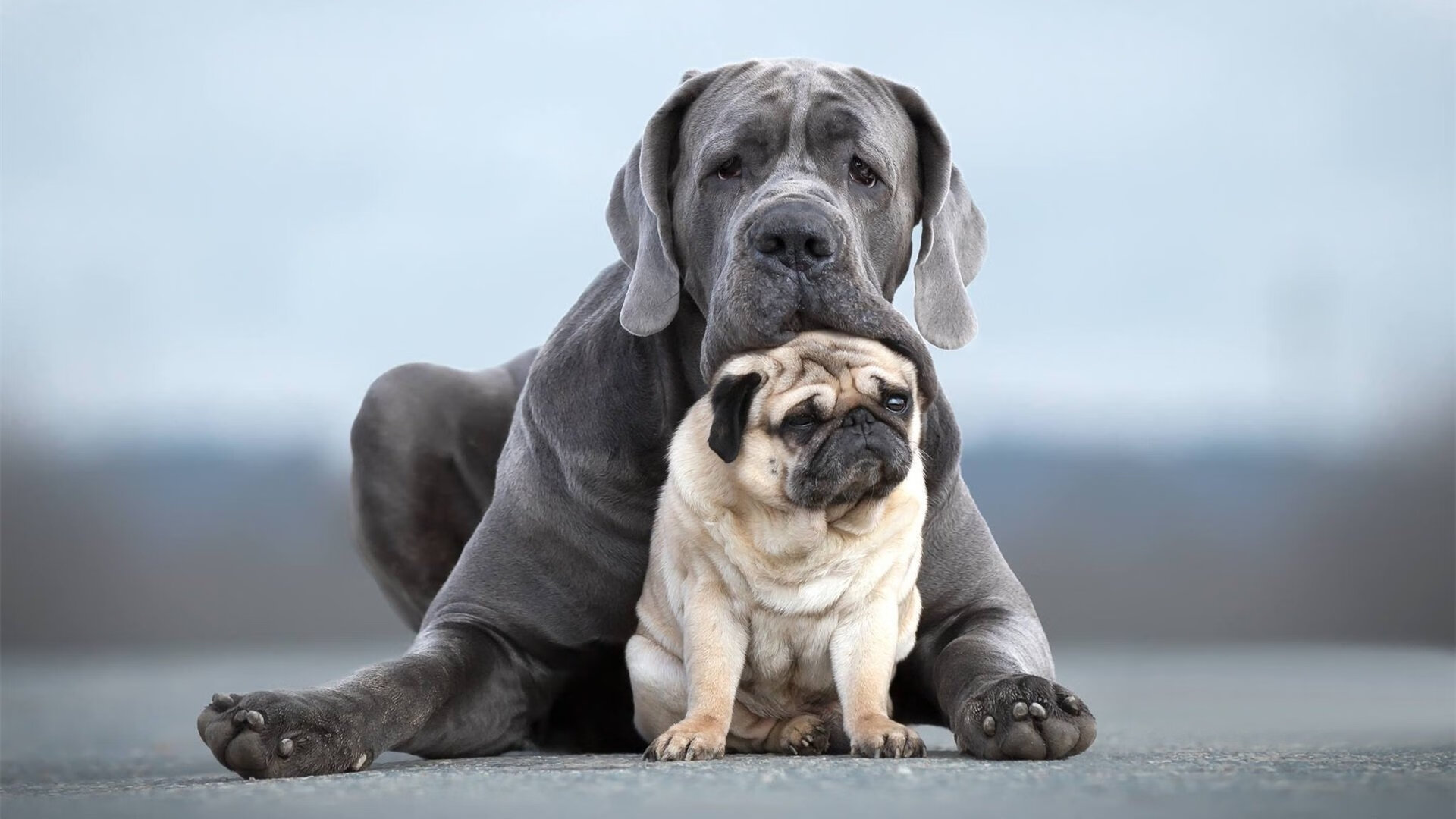 勇士二队新秀完成赛季首次三双表现,勇士第二阵容