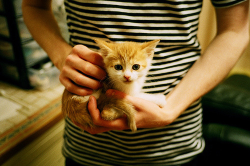 奥康纳从后场策动进攻，袋鼠队进攻套路更加丰富，奥康纳生平