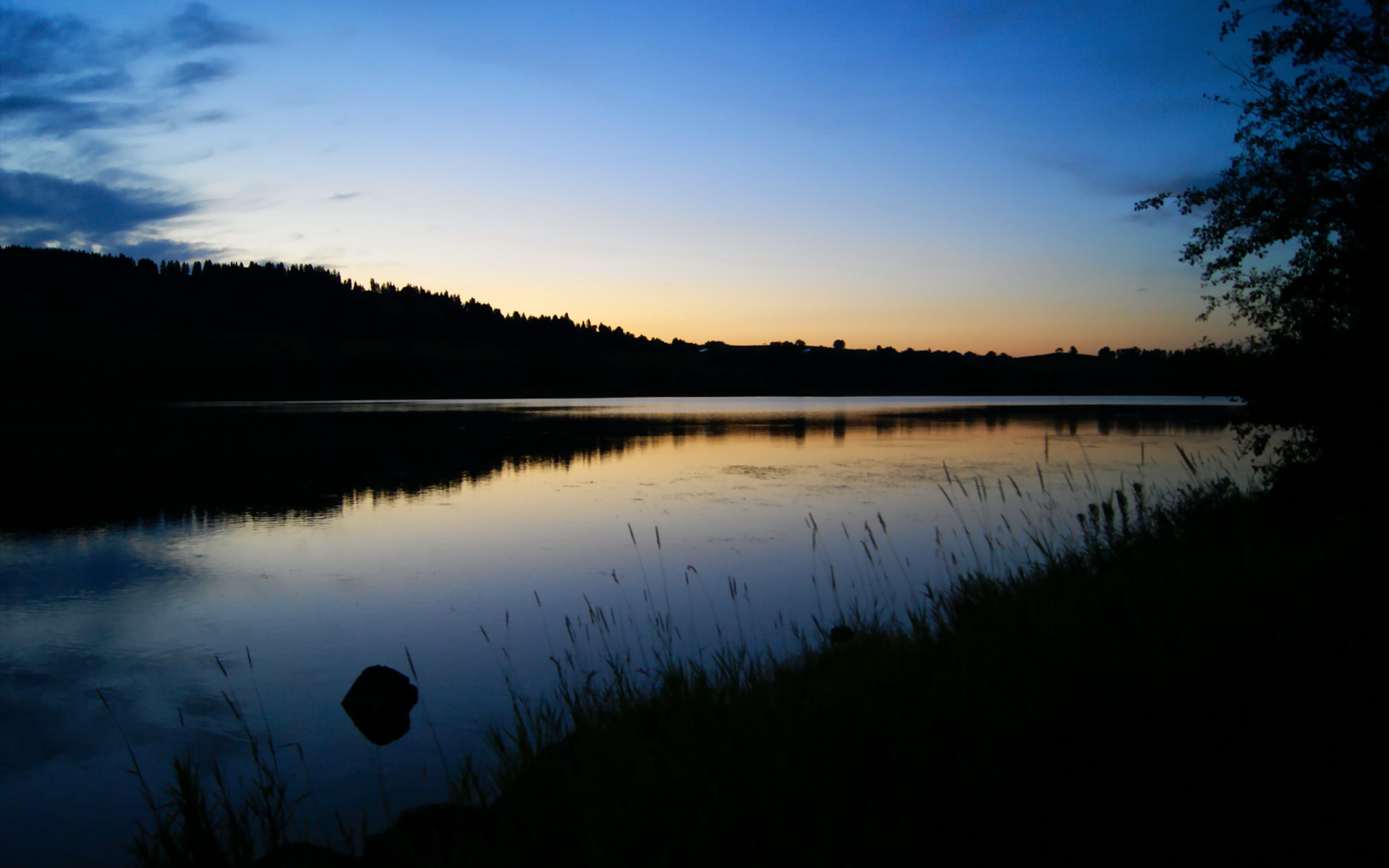 开云kaiyun-女子蛙泳荷兰展现技术细腻，蛙泳 女子