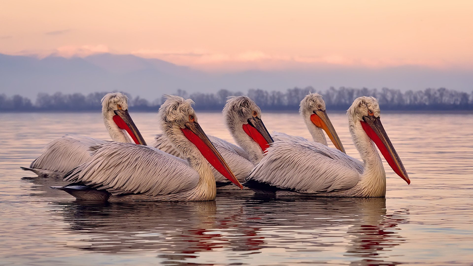 青少年足球研究课题启动支持校园足球发展决策,青少年足球比赛方案
